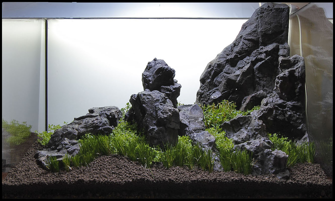 acquario1