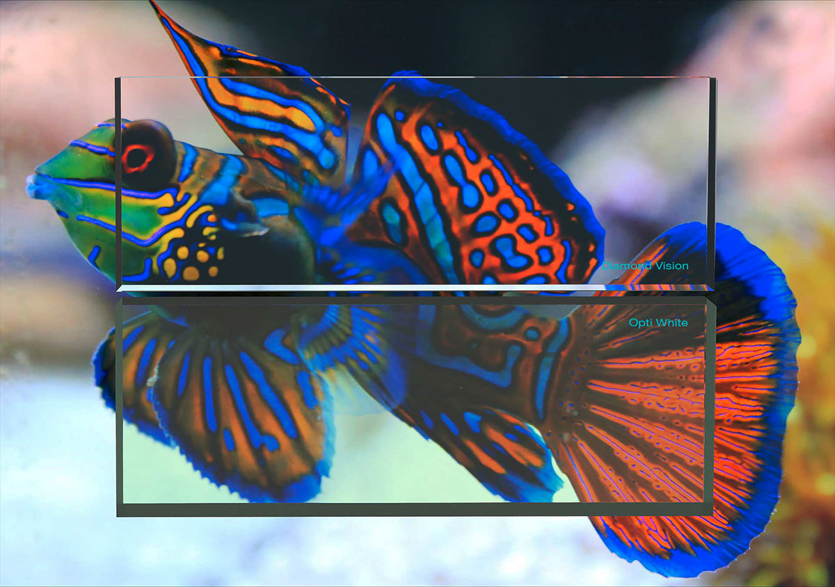 pesce25ss